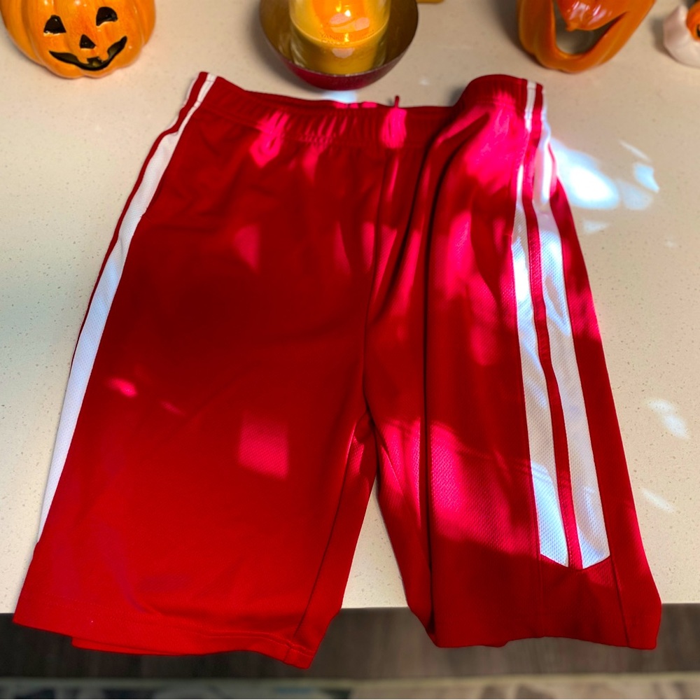 Lands End Boys Red Shorts - XL (14-16)